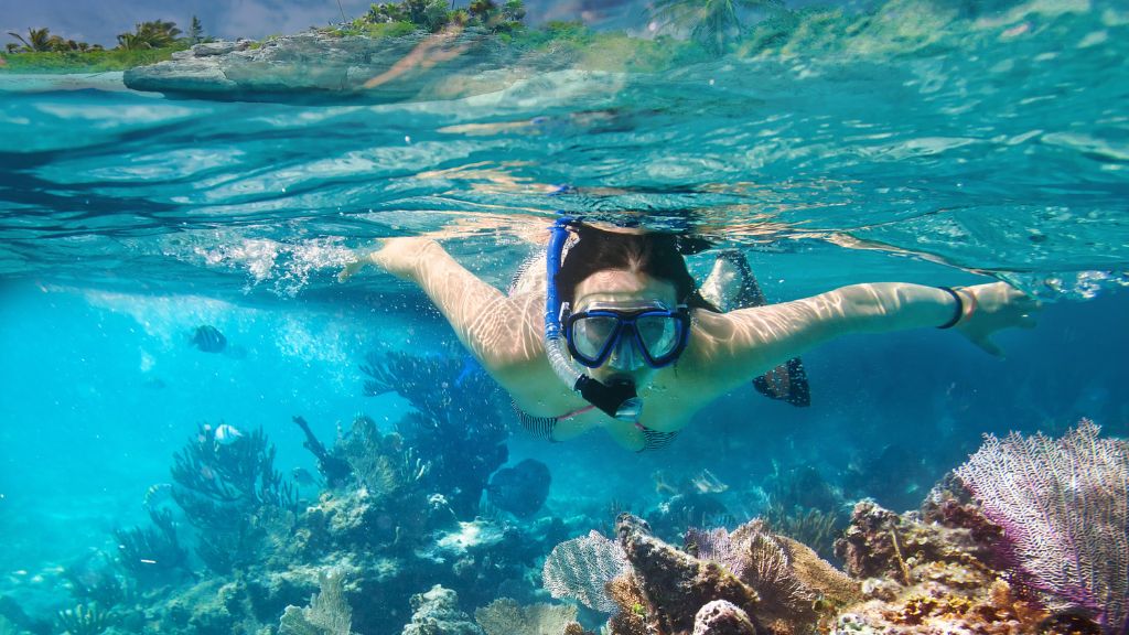 snorkeling Cannes