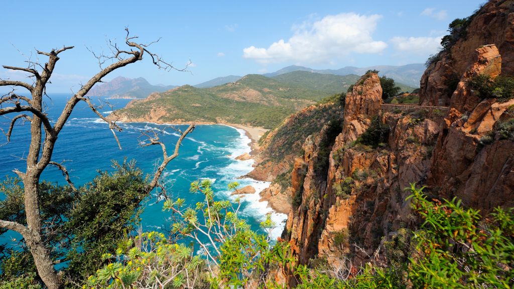 Plongée en corse