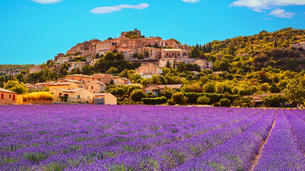 Provence giver