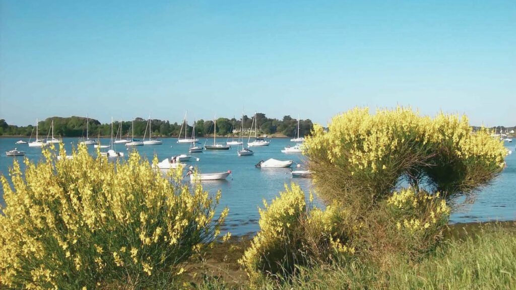 2. La Semaine du Golfe du Morbihan