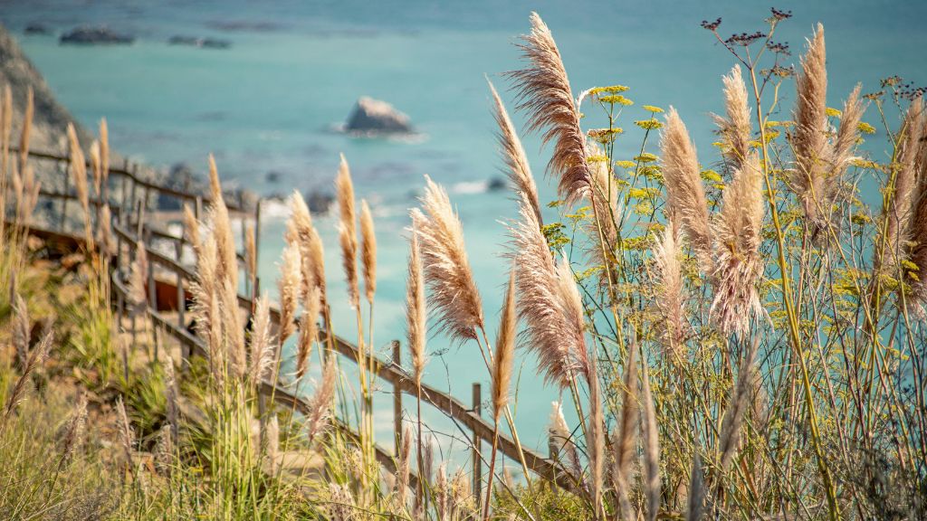 Théoule-sur-Mer & Red Rocks of the Estérel