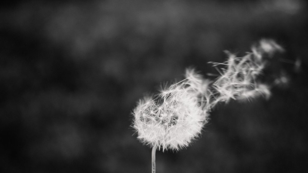 wind and wather patterns