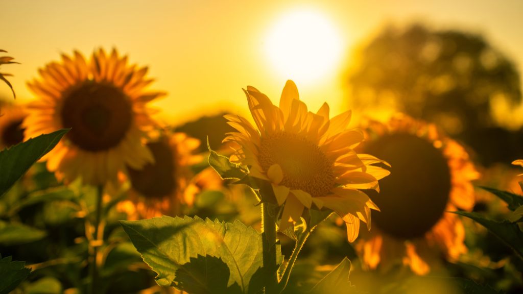 What you personally gain