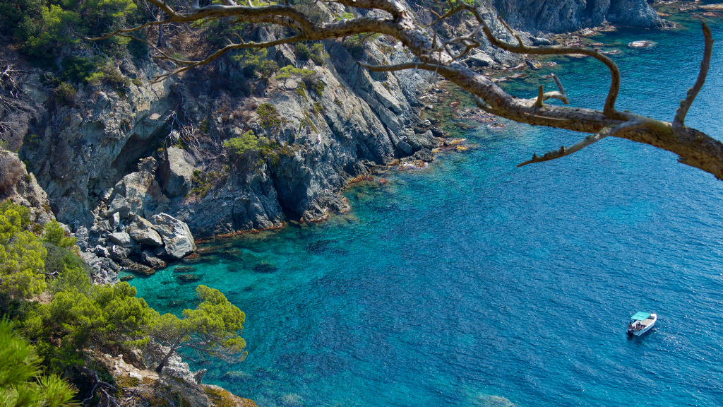  island dreaming